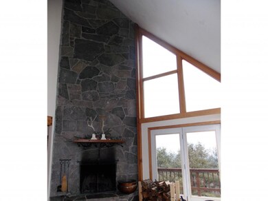 14 Slippery Fox, Winhall, VT 05340 - photo 4