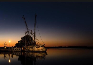 135 Water Oaks Way, Apalachicola, FL 32320 - photo 5