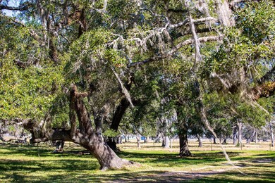 0 County Road 628 unit 3679825, Brazoria, TX 77422 - photo 5