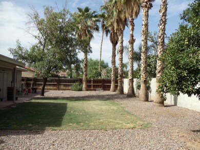 06 Huge Yard