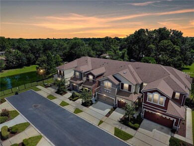 Private Street & Backyard