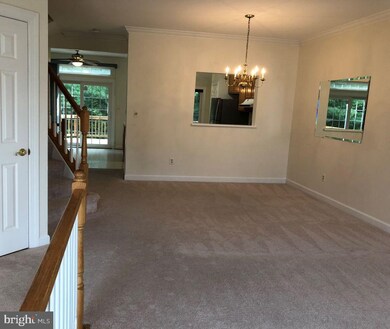 3610 Ransom Place, Alexandria, VA 22306 - photo 4