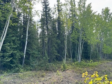 Mi 285 Parks Hwy, Nenana, AK 99744 - photo 4