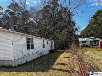 433 E 7 Mile Rd, Pamplico, SC 29583 - photo 4