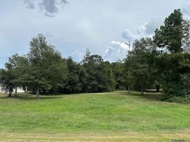 15850 Cypress Point Ln, French Settlement, LA 70733 - photo 2