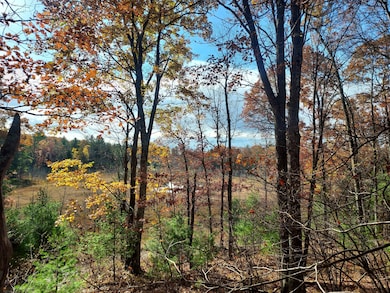 French Rd, Amberg, WI 54156 - photo 2