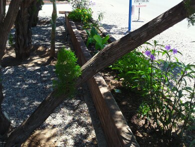 Front Planter-Auto Irrigation