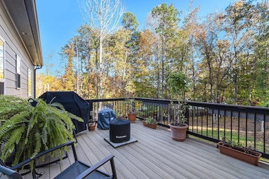 183 Grey Swan Way, Dawsonville, GA 30534 - photo 6