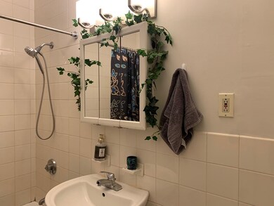 9 Regent Cir unit 1, Brookline, MA 02445 - photo 7