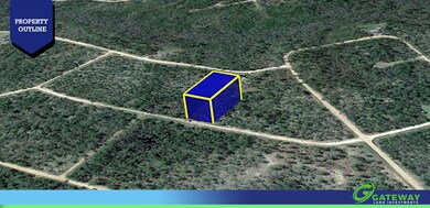 0 Apalachicola Ave unit 25713050, Alford, FL 32420 - photo 4