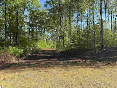 1371 E Solaris Way, Maple City, MI 49664 - photo 4