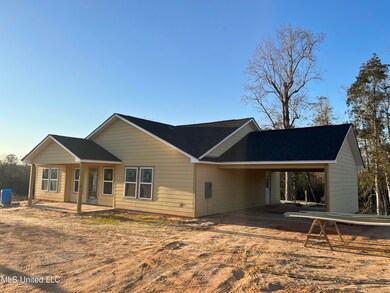 143 Beaver Dam Rd, Mc Henry, MS 39561 - photo 6