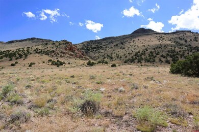 966 Pronghorn Trail, Del Norte, CO 81132 - photo 7