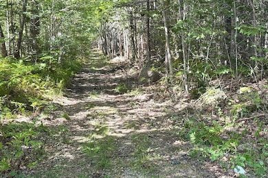 00 Thurlow Rd, Lincolnville, ME 04849 - photo 3