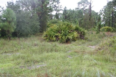 1260 Belfast Ave, Lehigh Acres, FL 33913 - photo 2