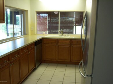 Kitchen view 2