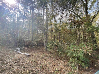 TBD Driftwood, Jefferson, TX 75657 - photo 3