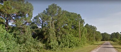 716 Bianca Ave S, Lehigh Acres, FL 33974 - photo 4