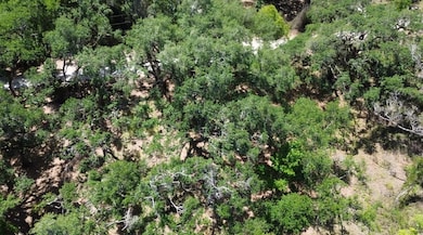 0 Turtle St unit MFRTB8377054, Ridge Manor, FL 33523 - photo 6