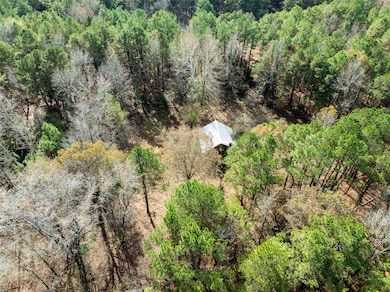 00 County Road 2237, Bagwell, TX 75426 - photo 5