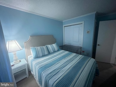 119 Old Landing Rd, Ocean City, MD 21842 - photo 7