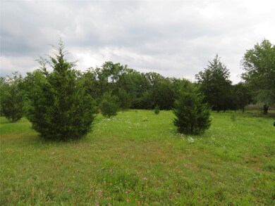 View of cleared area up near where owners home is