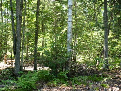 TBD McCarthy Rd, Pittsfield_Image 7