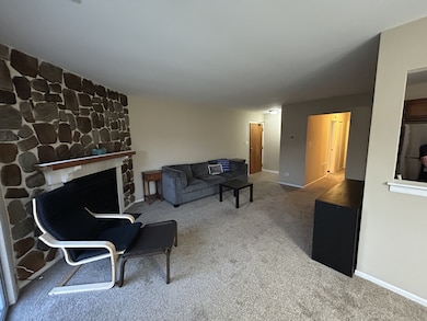 7030 Park Lane Ct unit 203, Woodridge, IL 60517 - photo 5