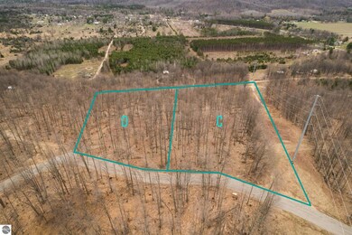 Lot D Retreats Way, Rapid City, MI 49676 - photo 3