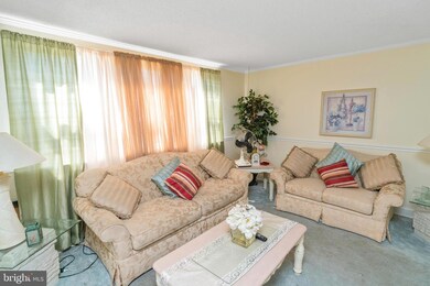 11742 Colman Rd, Philadelphia, PA 19154 - photo 4