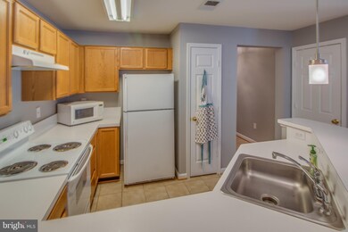 18801 Sparkling Water Dr unit 8101, Germantown, MD 20874 - photo 7