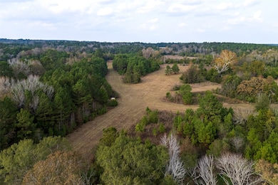 00 Farm To Market Road 228, Grapeland, TX 75844 - photo 4