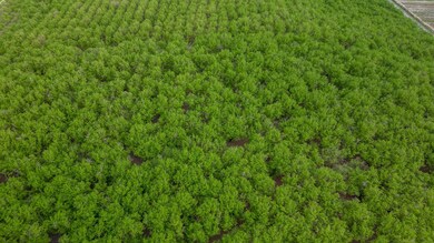 11706 SW Spring Hill Rd, Gaston, OR 97119 - photo 6