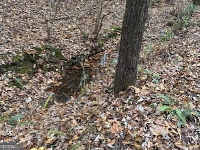0 John Call Rd unit 10646302, Talking Rock, GA 30175 - photo 7
