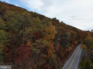 481 Hazle St, Quakake, PA 18245 - photo 5