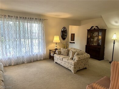 Living room with carpet flooring
