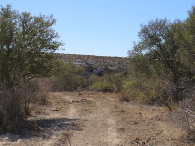 0 Shafter Crossing Rd, Dryden, TX 78851 - photo 6