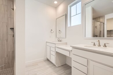 4003 Descent St Owner's Bathroom