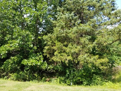 Tbd Lot 40 Summer Rd, Ruth B Rural Township, MO 65686 - photo 2