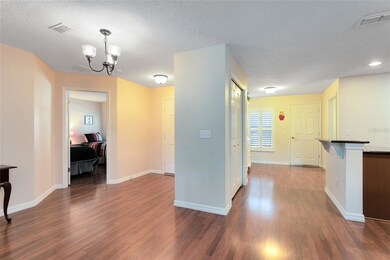 21710 Belgian Ct, Mount Dora, FL 32757 - photo 5