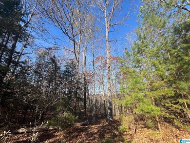 0 Smith Ln, Talladega, AL 35160 - photo 4