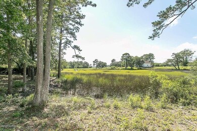 Marsh view 9