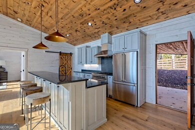 530 Tower Rd unit 3, Mineral Bluff, GA 30559 - photo 5