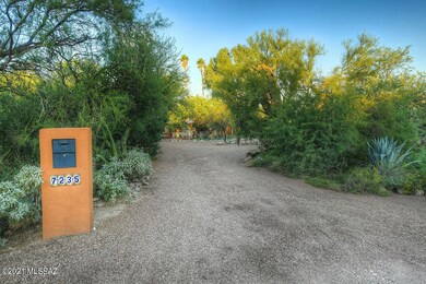 DSC_7074A