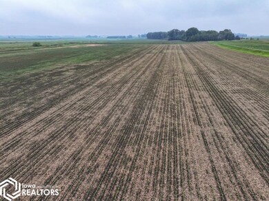 4177 Nuthatch Ave, Kensett, IA 50448 - photo 4