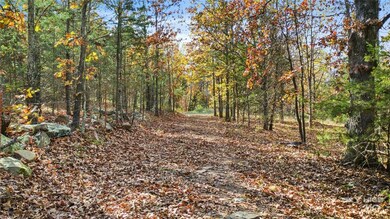 11.92 AC Smith Ln, Elkins, AR 72727 - photo 4