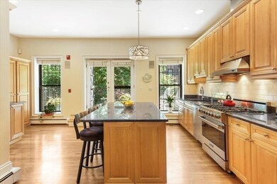 55 Worcester St unit 1, Boston, MA 02118 - photo 2