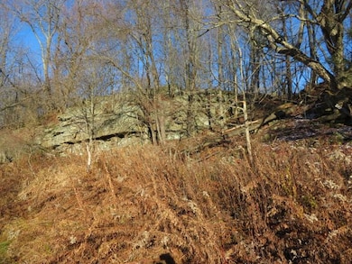 30269 County Road 22, Theresa, NY 13691 - photo 5