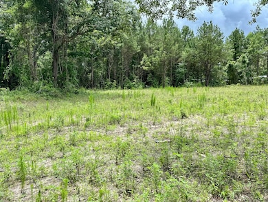 55 Seabrook Center Rd, Seabrook, SC 29940 - photo 2