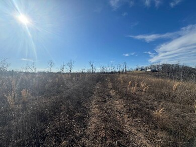 TBD State Highway Y unit Tract E, Dixon, MO 65459 - photo 3